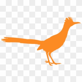 Roadrunner Bird Silhouette - Phasianidae, HD Png Download - roadrunner png