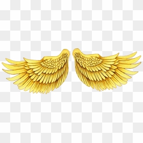 Asa Dourada Png, Transparent Png - gold wings png