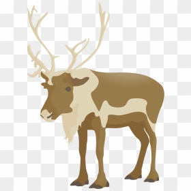 Elk, HD Png Download - moose silhouette png