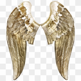Angels Wing Butterfly - Gold Wings Transparent Background, HD Png Download - gold wings png
