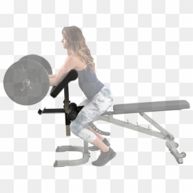 Preacher Curl Station - Body Solid Gfid31, HD Png Download - preacher png