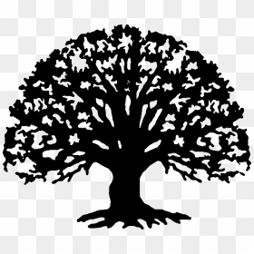 Family Reunion Tree Png Transparent Family Reunion - Family Reunion Tree Silhouette, Png Download - treepng