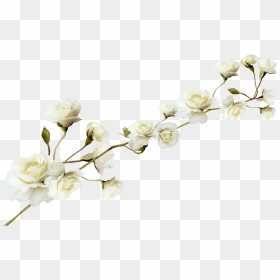 White Flower Pattern Png Download - White Flower Png File, Transparent Png - flower pattern png