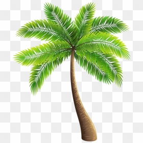 Palm Tree Png Photo - Palm Trees, Transparent Png - treepng