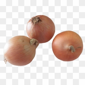 Onions Clipart, HD Png Download - onions png