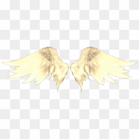 Hmm, I Want A Catchy Title So, Here - Face Angel Face Michael Jackson, HD Png Download - gold wings png