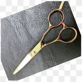 Wings Gold - Scissors, HD Png Download - gold wings png