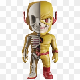 Flash Reverso, HD Png Download - reverse flash png