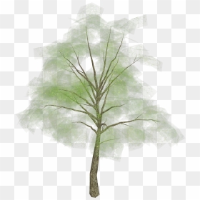 Tree Png Picture - Grass, Transparent Png - treepng