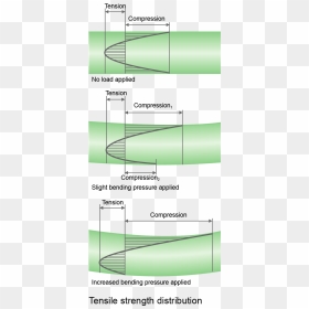 Tension Strength Distribution - Does Tempered Glass Bend Stress, HD Png Download - shattered glass effect png