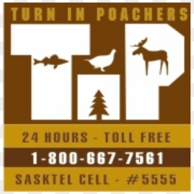 Turn In Poachers, HD Png Download - moose silhouette png