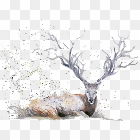 Png Deer Antlers - Magical Watercolor Paintings, Transparent Png - deer antler png