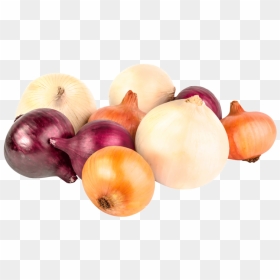 Variété D Oignon, HD Png Download - onions png