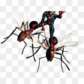 Transparent Ant Man Png - Ant-man, Png Download - antman png