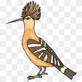 Roadrunner Clipart Angry - نقاشی هد هد, HD Png Download - roadrunner png