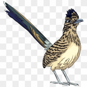 Roadrunner Clipart, HD Png Download - roadrunner png