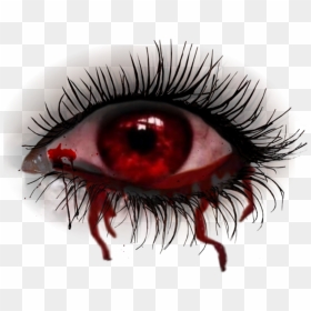 Transparent Horror Eye Png, Png Download - eyeballs png