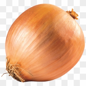 Yellow Onion, HD Png Download - onions png