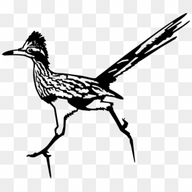 Roadrunner, HD Png Download - roadrunner png