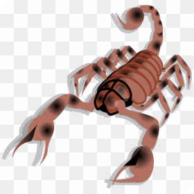 Scorpion Svg Clip Arts - Scorpion, HD Png Download - mortal kombat scorpion png