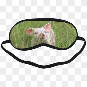 Transparent Pig Mask Png - Eye Mask With Googly Eyes, Png Download - birrete png