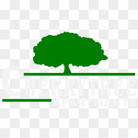 Cherry Tree Apartments - Portable Network Graphics, HD Png Download - cherry tree png