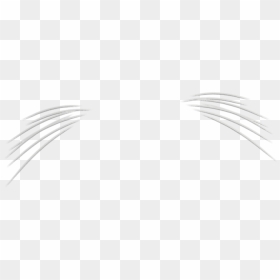 Thumb Image - Real Cat Whiskers Png, Transparent Png - whiskers png