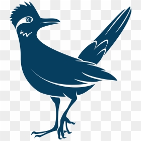 Perching Bird, HD Png Download - roadrunner png