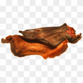 Butterfly, HD Png Download - dog ears png