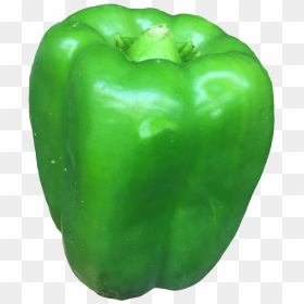 Green Bell Pepper , Png Download - Green Bell Pepper, Transparent Png - bell pepper png
