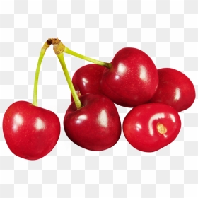 Red Cherry Png Image, Free Download - Cherries Clipart, Transparent Png - cherry tree png