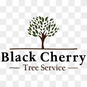 Cherry Tree Png, Transparent Png - cherry tree png