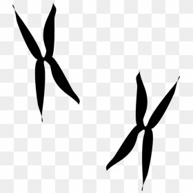 Roadrunner Clipart Black And White, Roadrunner Black - Woodpecker Footprint, HD Png Download - road runner png