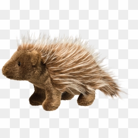 Douglas Percy Porcupine - Stuffed Porcupine, HD Png Download - porcupine png