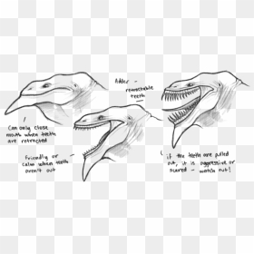 The Adder"s Retractable Teeth , Png Download - Retractable Teeth, Transparent Png - monster teeth png