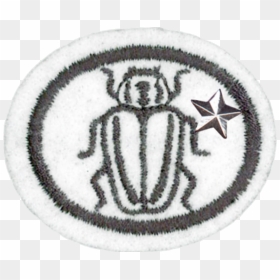 Insect Honor Pathfinders Patch , Png Download - Especialidade De Insetos Desbravadores, Transparent Png - pirate eye patch png
