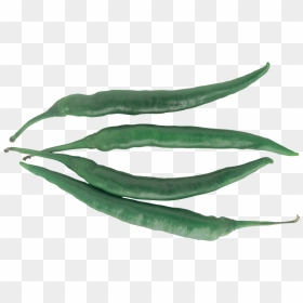 Bell Pepper , Png Download - Bird's Eye Chili, Transparent Png - bell pepper png