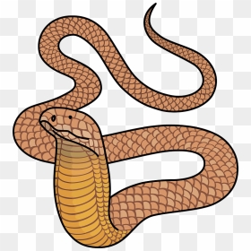 King Cobra Clipart - コブラ イラスト フリー, HD Png Download - king cobra png