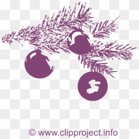 Fir-tree Branch Image - Illustration, HD Png Download - christmas tree branch png