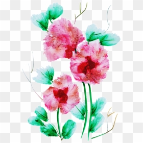 Sweet William, HD Png Download - water color flowers png