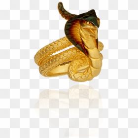 King Cobra Png Background - Duck, Transparent Png - king cobra png