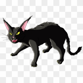 Angry Cat Png High-quality Image - Angry Cat Clipart, Transparent Png - angry cat png