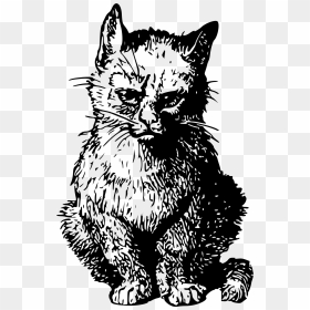 Angry Cat Clip Arts - Cat Clipart Angry, HD Png Download - angry cat png