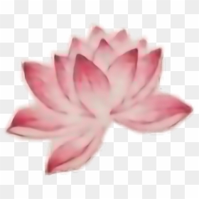 Transparent Lotus Tattoo Png - Sacred Lotus, Png Download - flower tattoo png