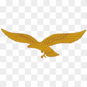 Luftwaffe Eagle-no Swastika - Luftwaffe Eagle Without Swastika, HD Png Download - nazi eagle png