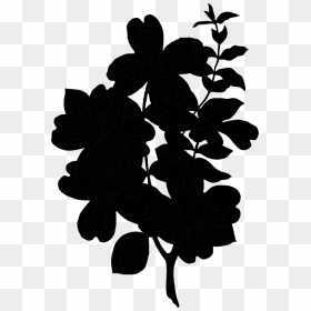 Flowering Plant Silhouette Leaf Plants - Plant Silhouette Png, Transparent Png - plant silhouette png