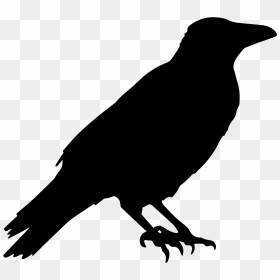 Corvo Edgar Allan Poe, HD Png Download - crow silhouette png