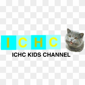 History Channel Logo Png - Happy Cat, Transparent Png - history channel logo png