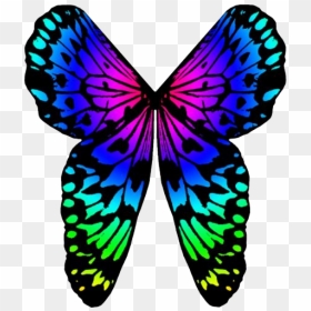 Rainbow Butterfly Png Image Background - Portable Network Graphics, Transparent Png - rainbow background png