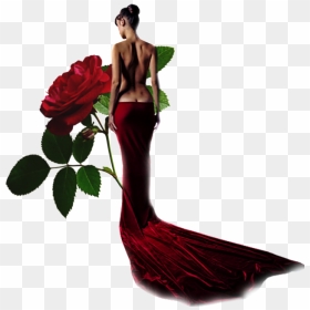 Rose, HD Png Download - arden cho png